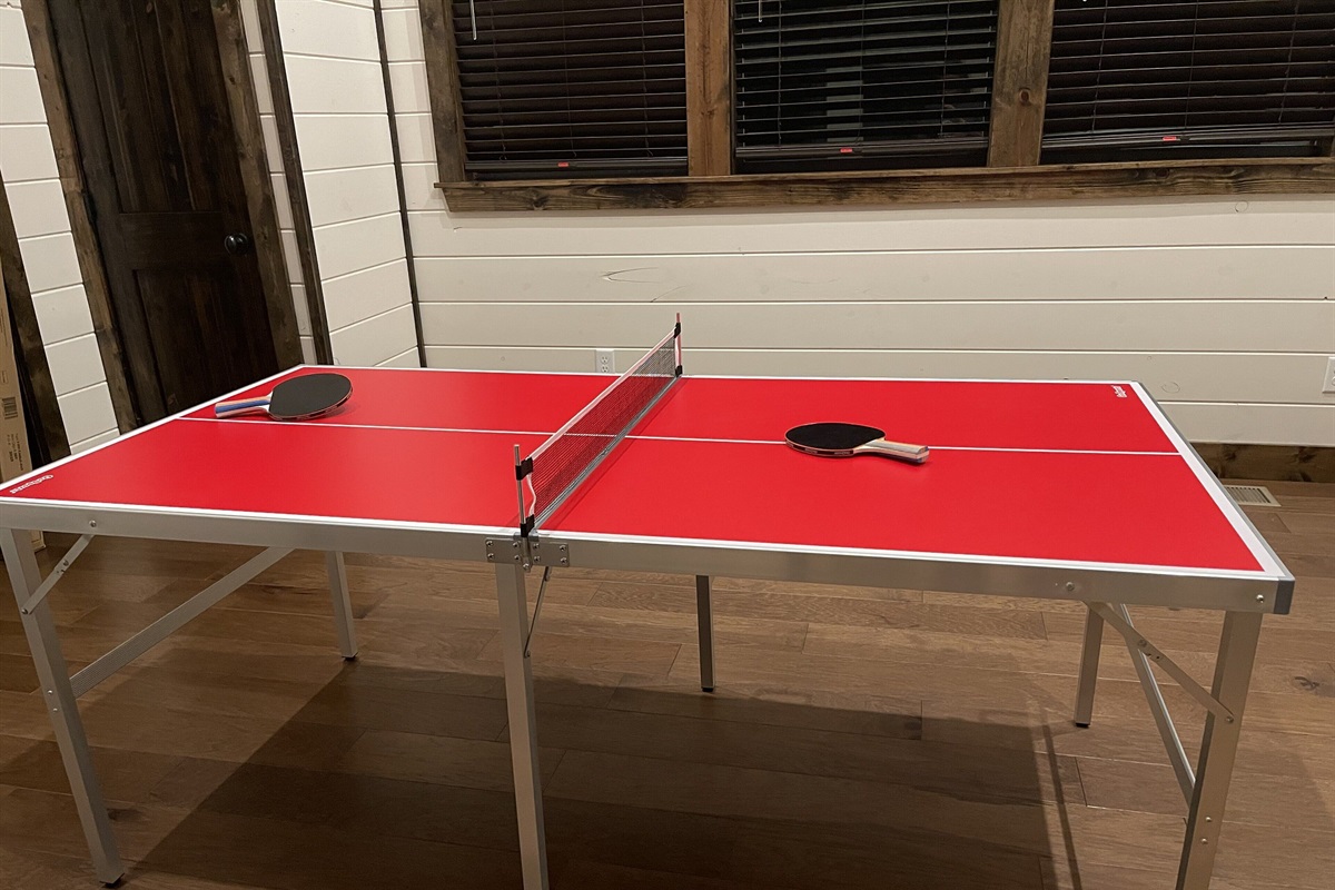 Ping pong championship anyone?