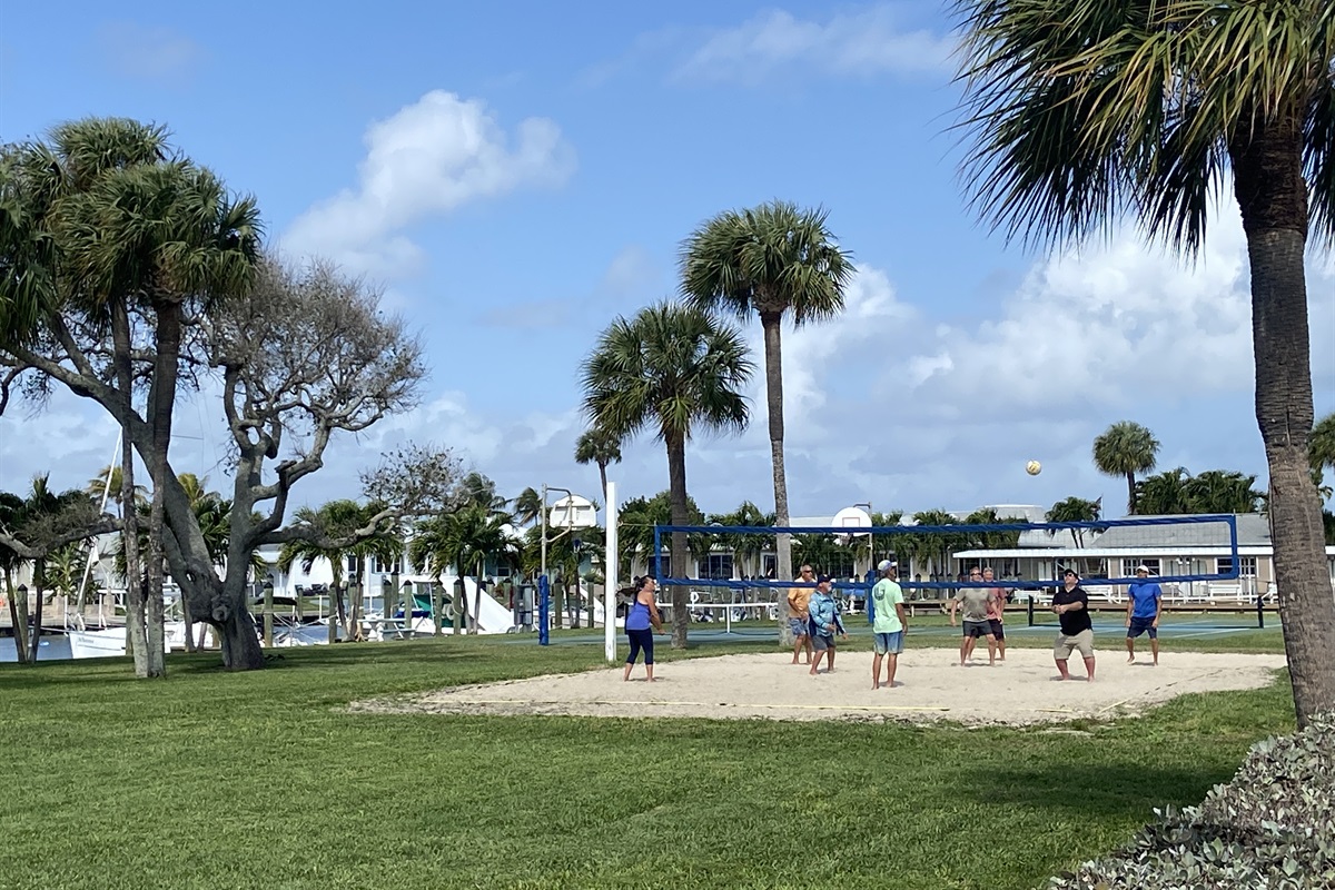 Volleyball Court