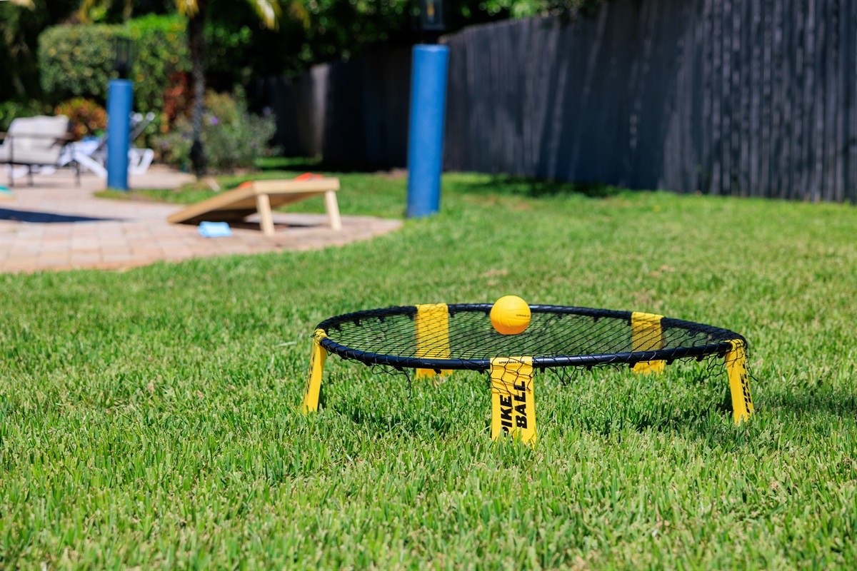 Challenge a family member to a game of Spikeball