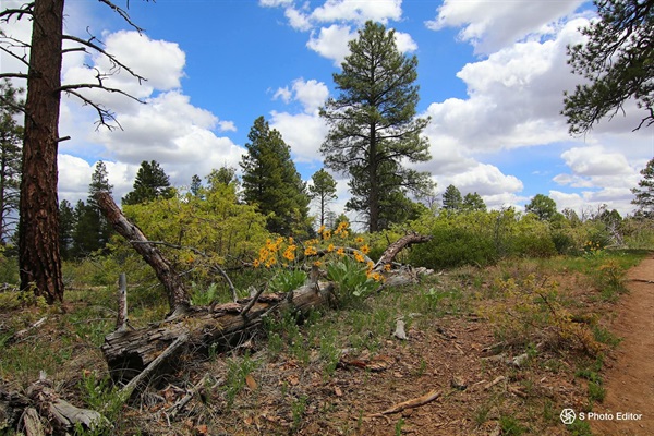 Trail to Cable mountain