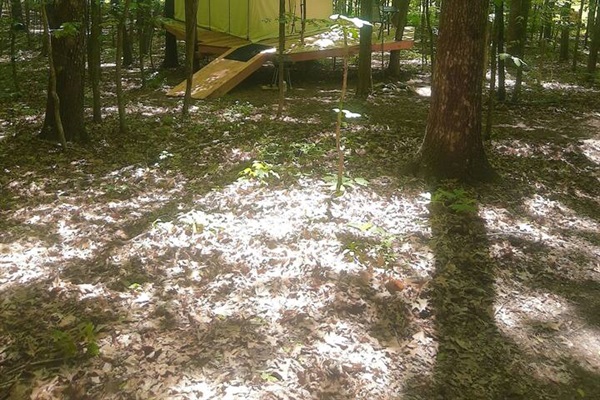 The campsite during the daytime in the forest