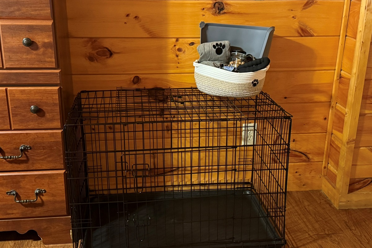 We even provide amenities so that your fur baby feels at home too.