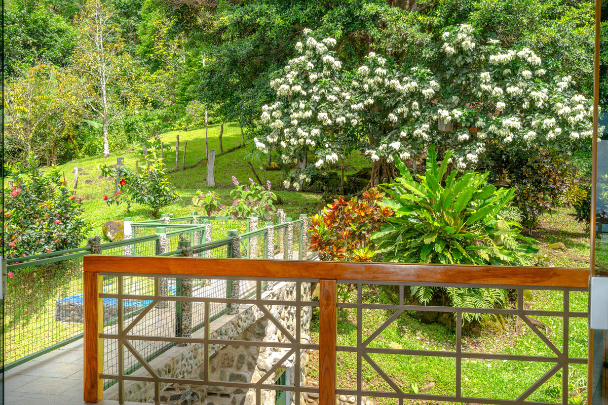 Manicured tropical grounds surrounding Casa Infinity — two-plus acres of private estate