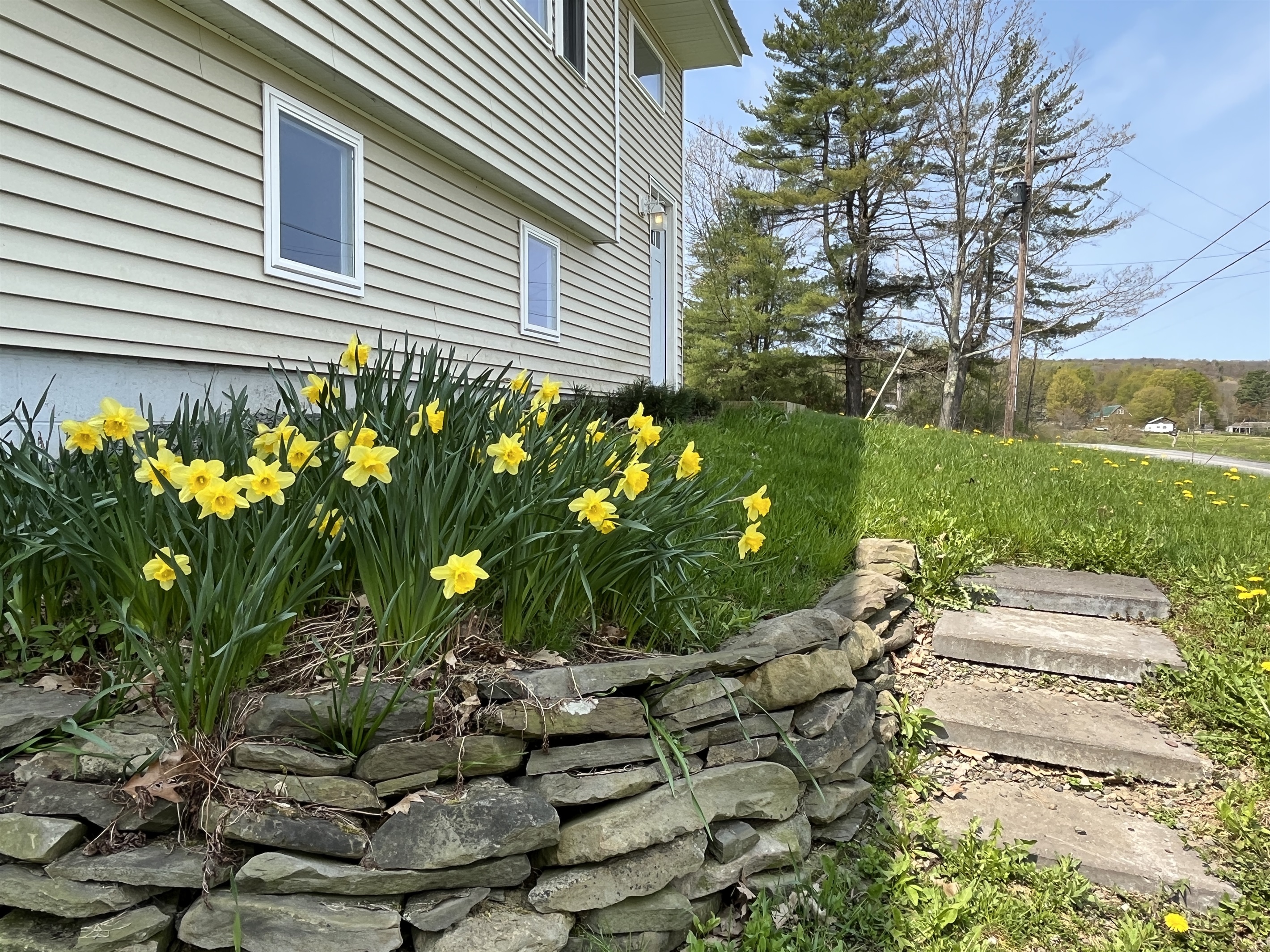 Spring his sprung