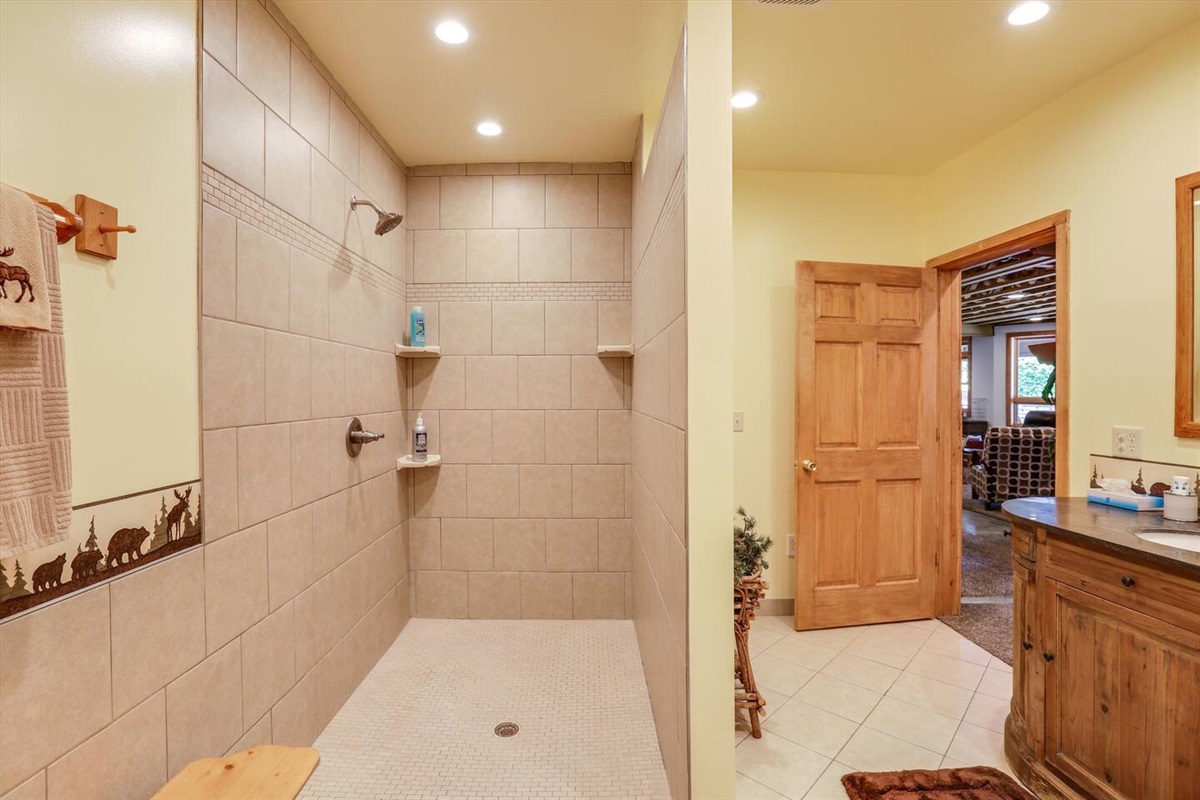 Lower Level - Bathroom