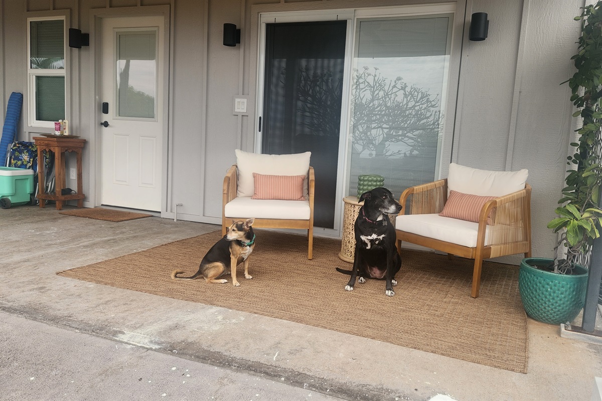 front lanai, Daisy and Zelda
