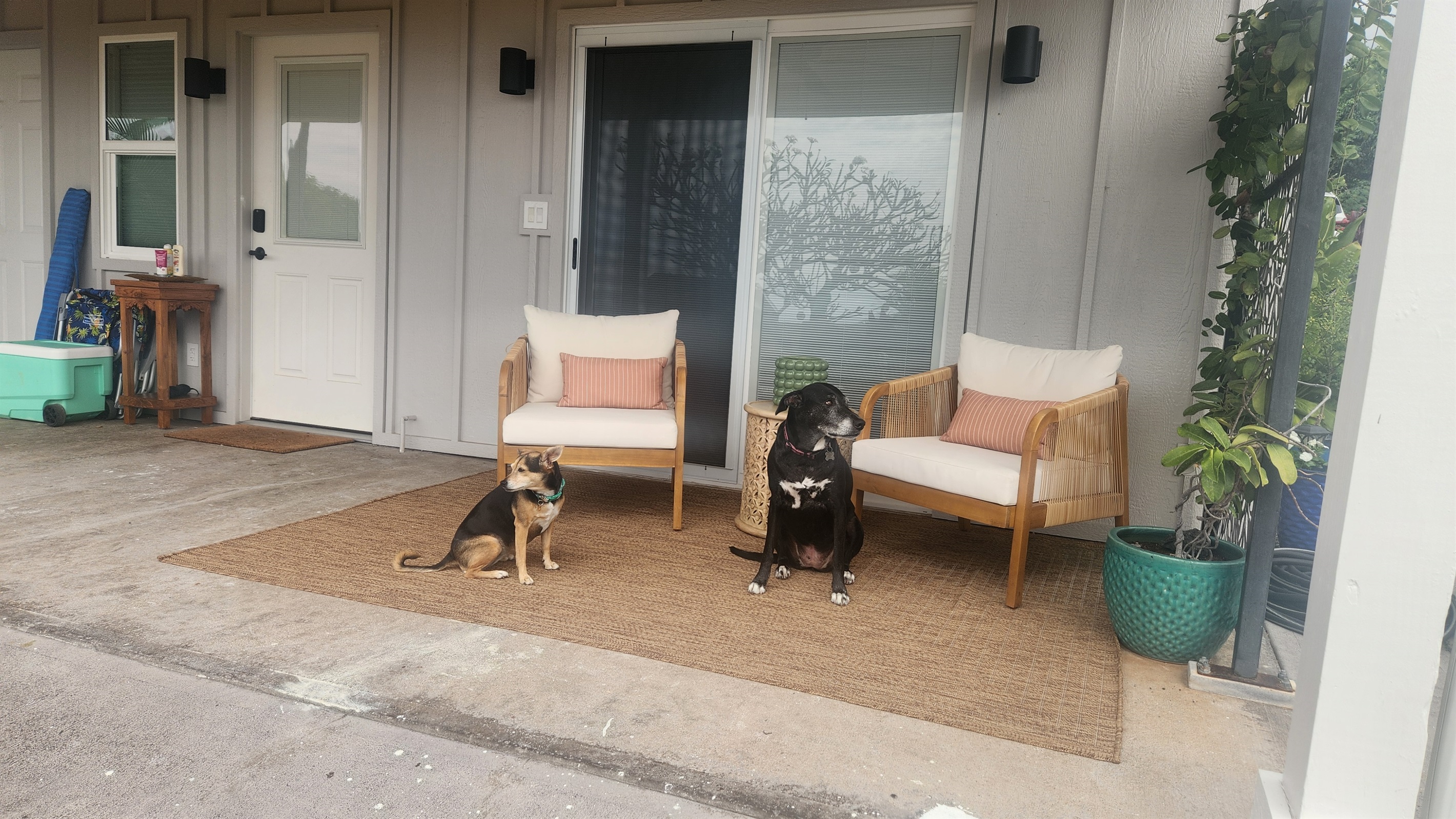 front lanai, Daisy and Zelda