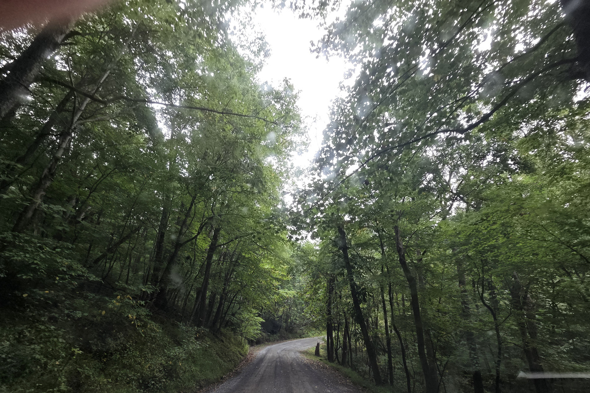 Mountain gravel road leading to the cabin