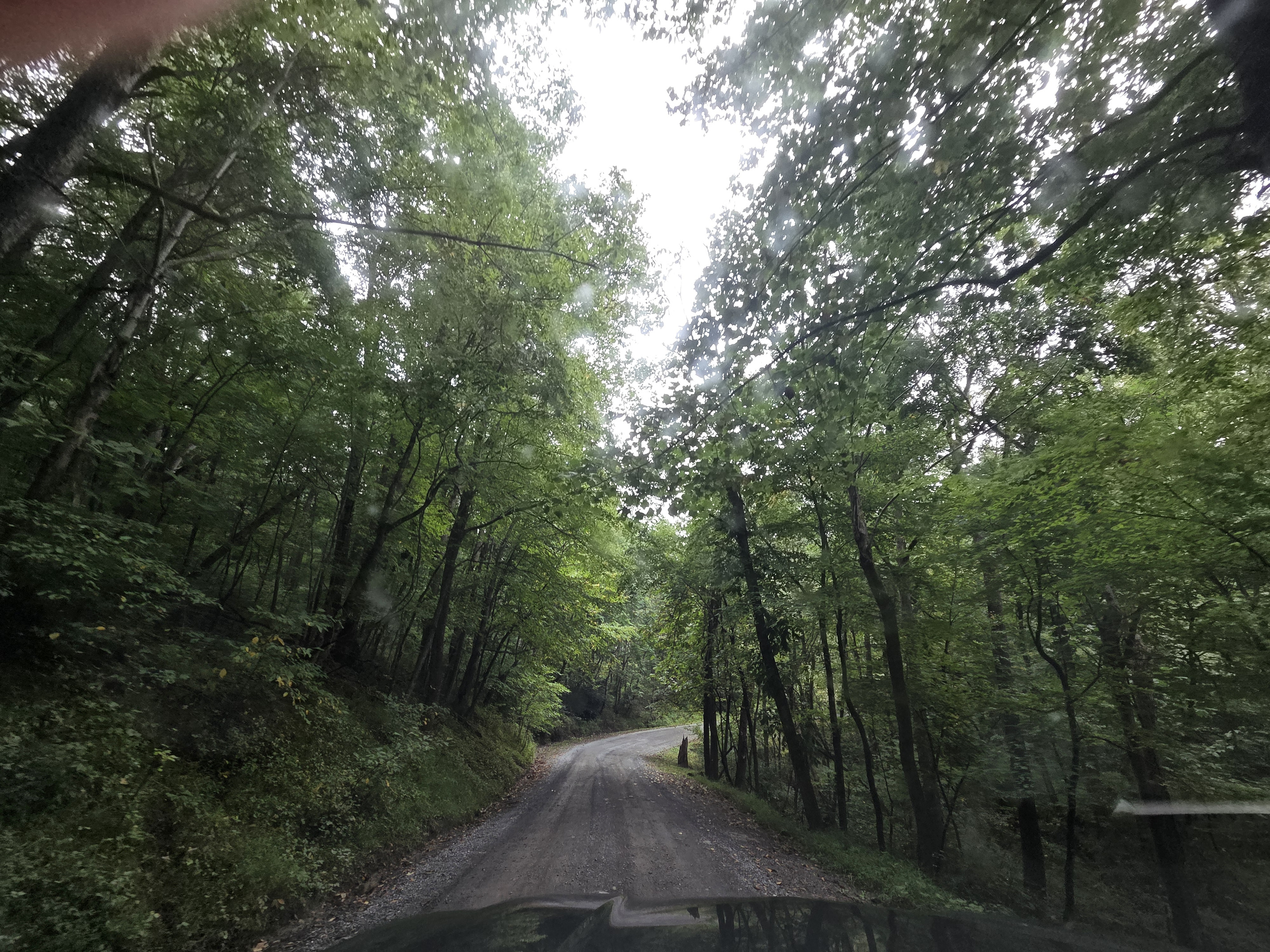 Mountain gravel road leading to the cabin