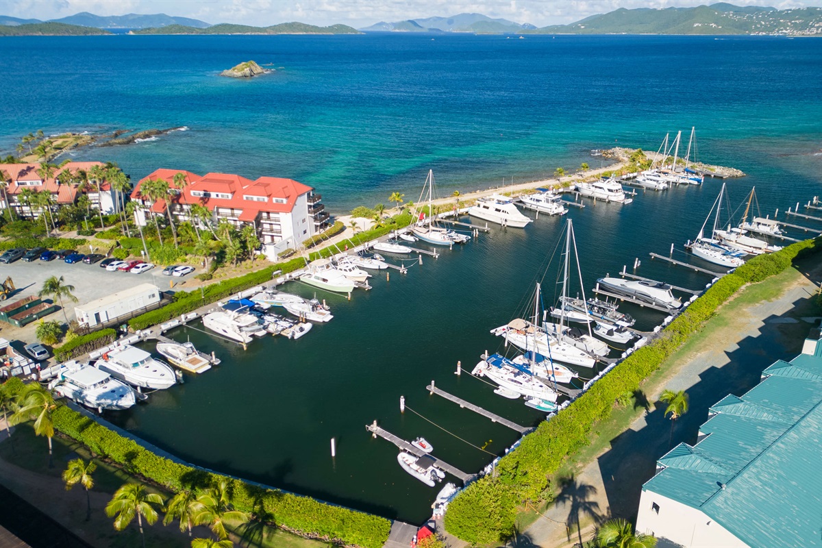 The marina offers a lively view of the boats coming and going throughout the day.