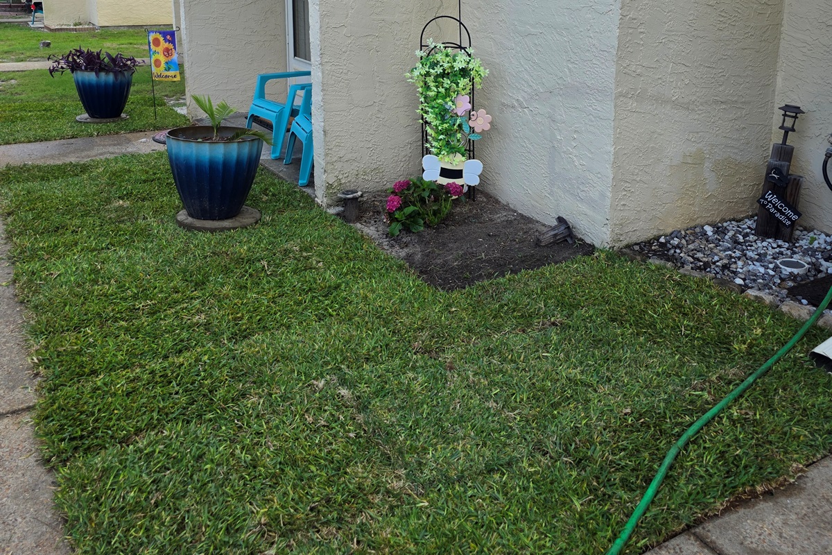 New Landscaping
