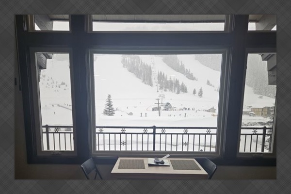 View from living room window.