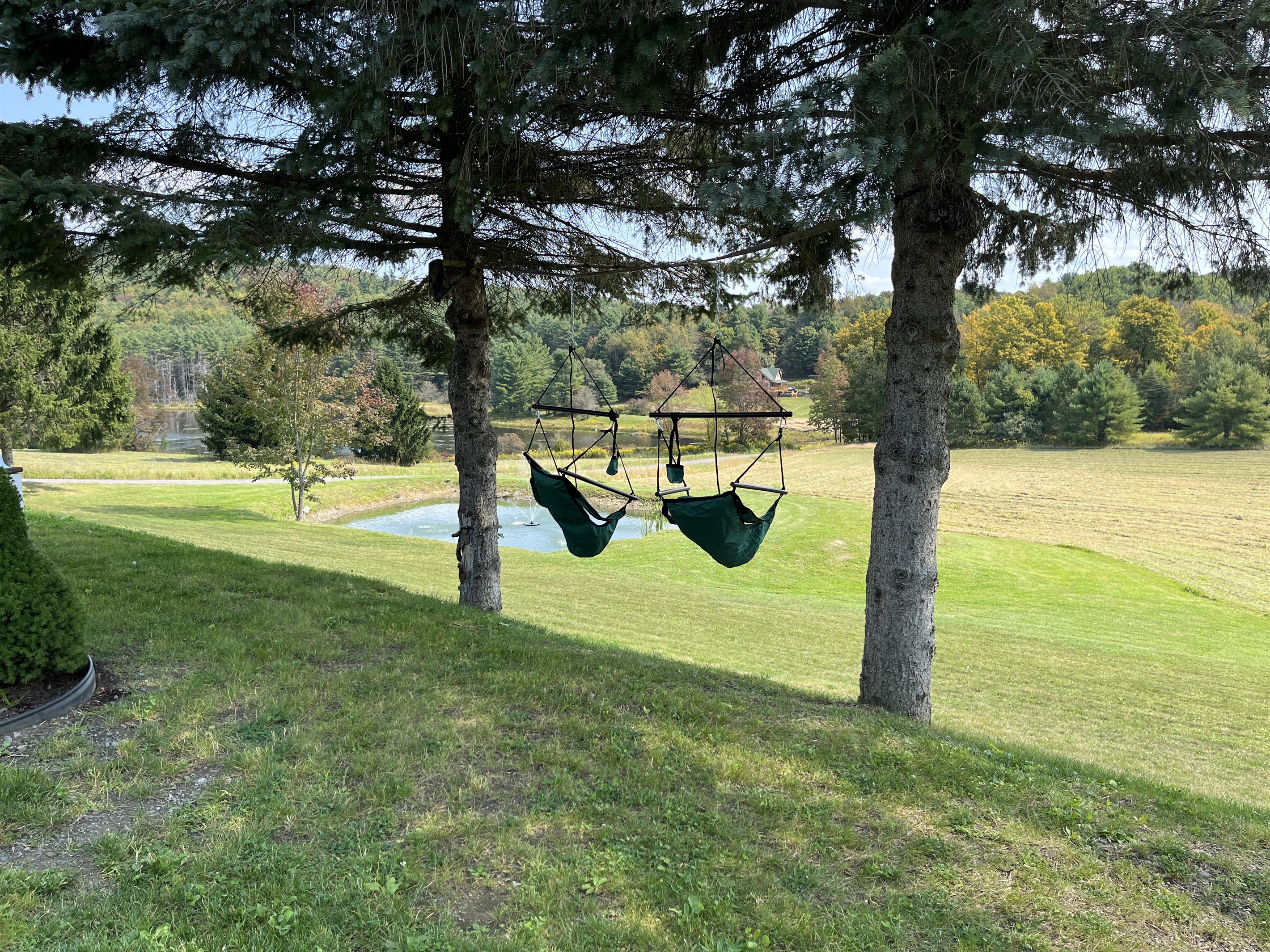 Hammock Chairs with a view