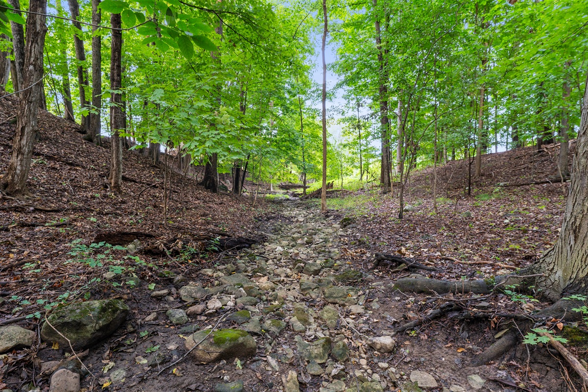 Stroll through your very own wooded paradise with towering trees and serene forest views.