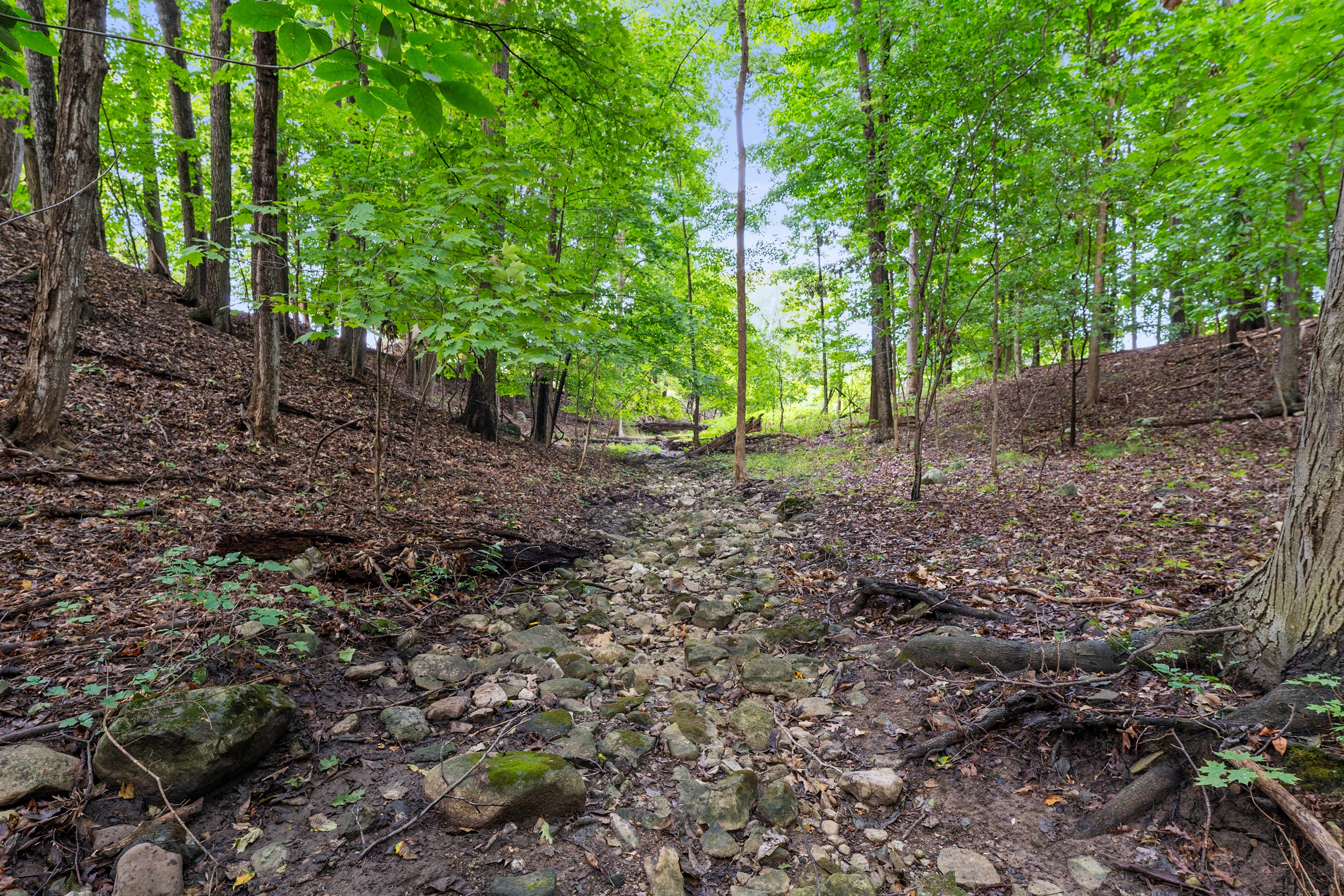 Stroll through your very own wooded paradise with towering trees and serene forest views.