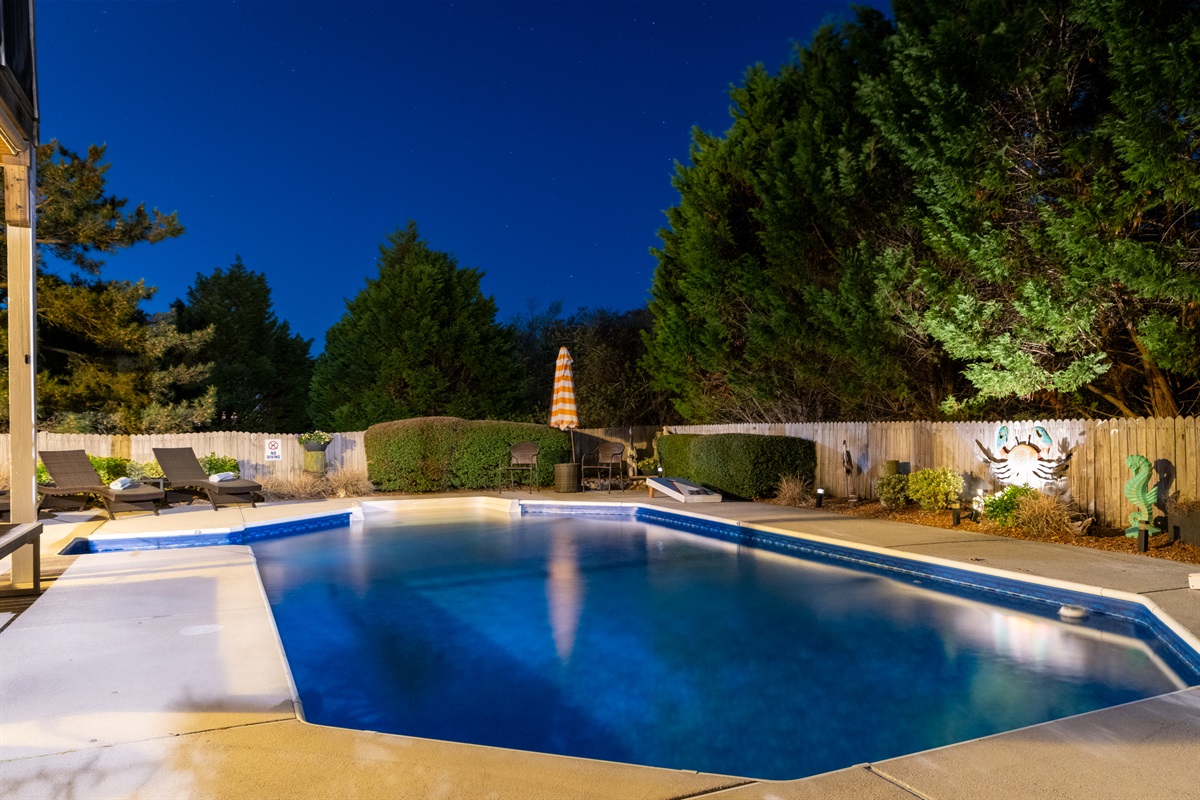 Backyard Pool