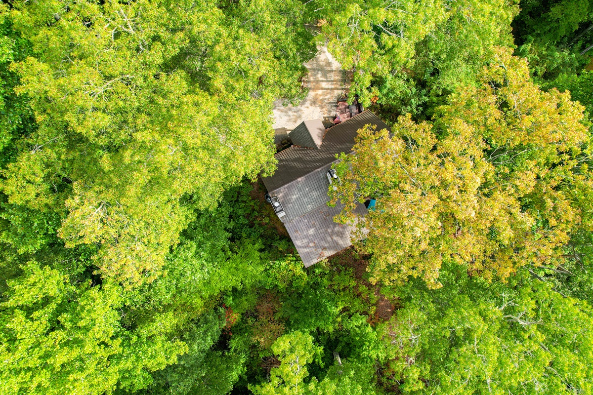 Your very own tree house in the woods!