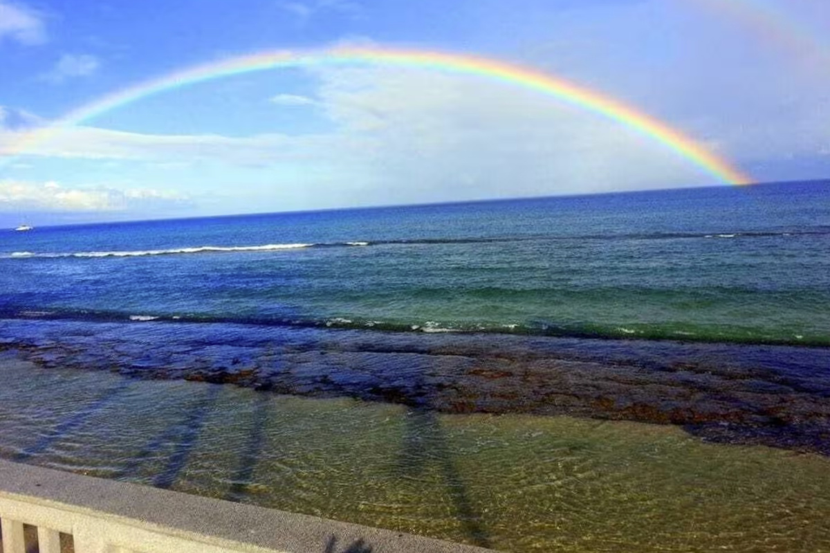 Take in the beauty of the ocean