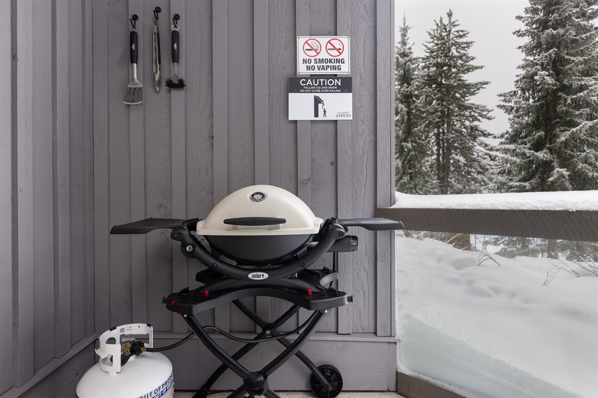BBQ and propane available all year round! I personally check this supply to make sure the gas is full.