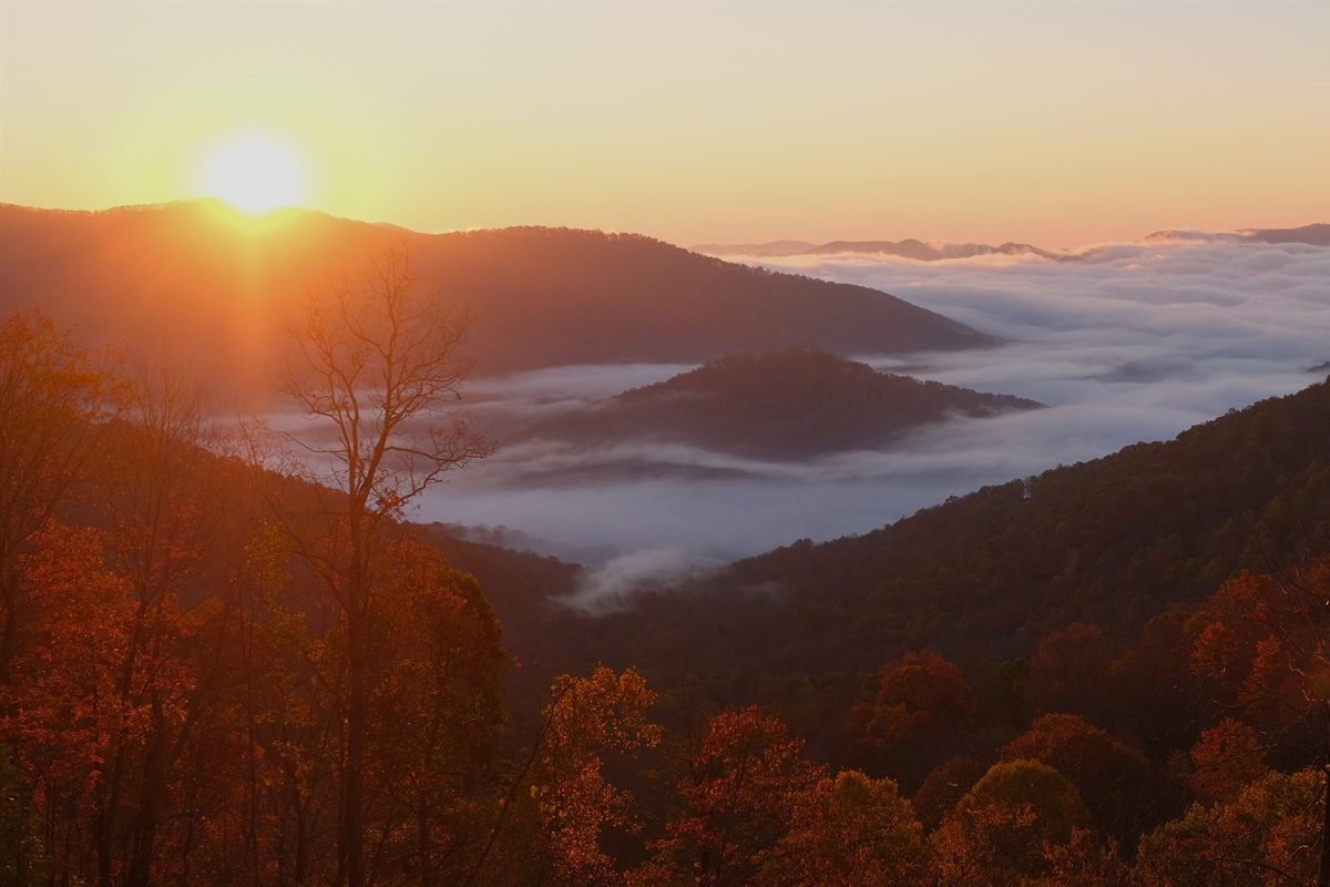 One of the Amazing Views from the Stomping Grounds