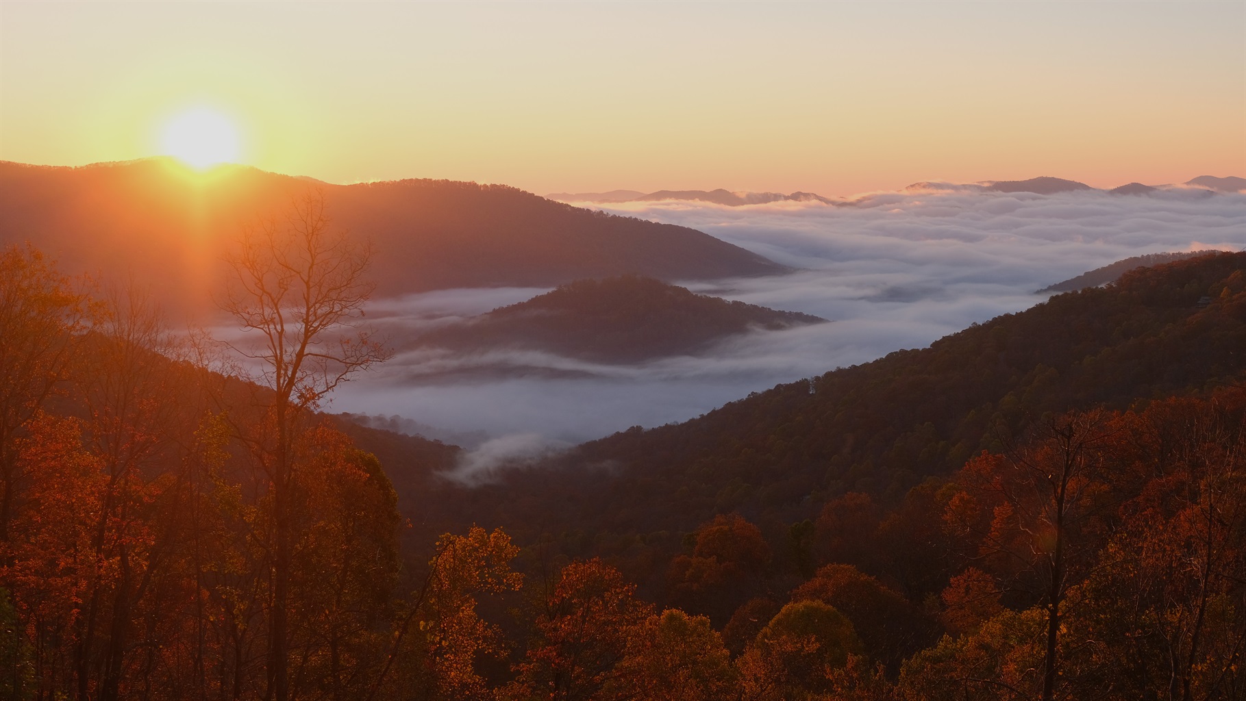 One of the Amazing Views from the Stomping Grounds