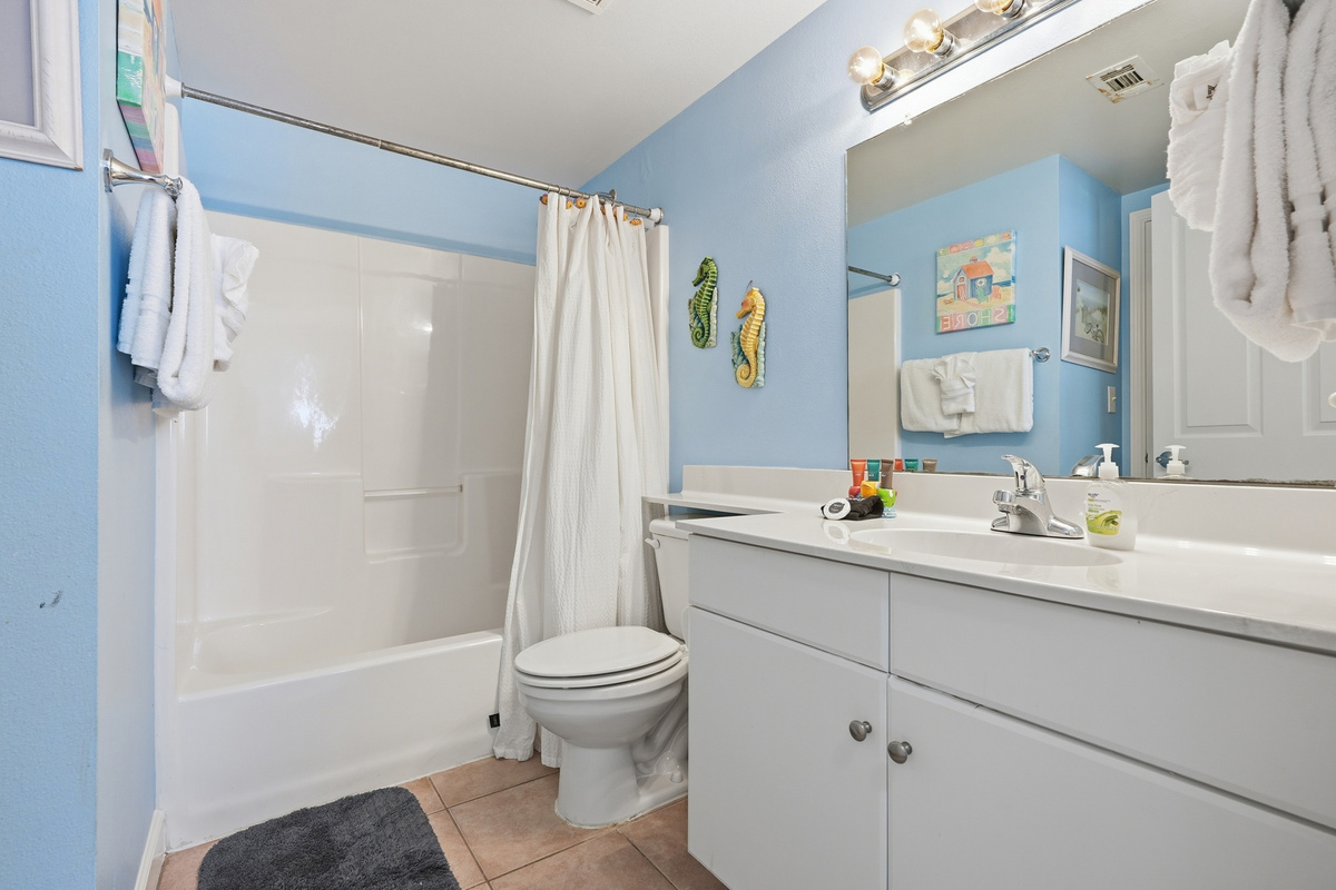 Guest Bath 2