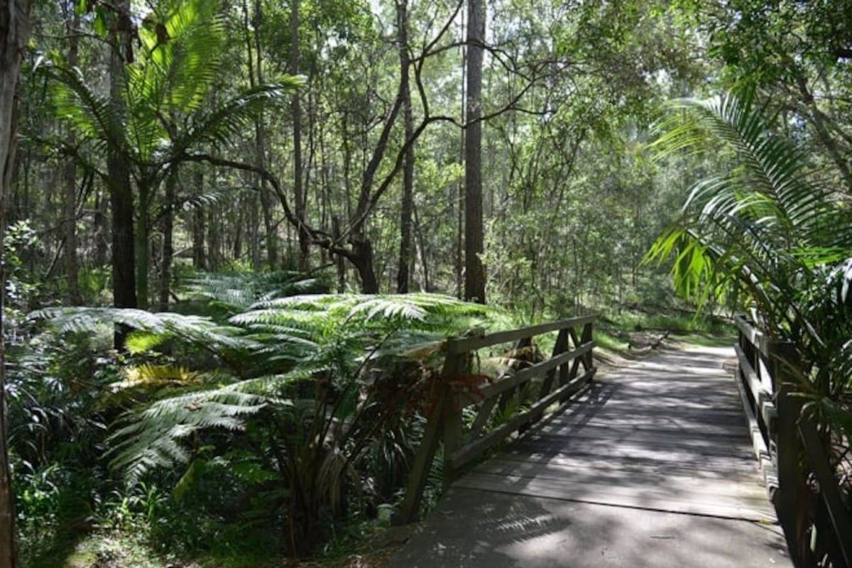 Cornubia Forest Nature Reserve with lush tropical greenery located just 5 min walk from home or 1 min drive. 