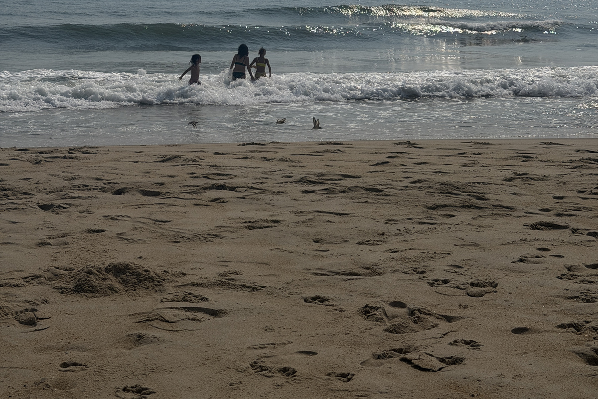 Everyone the water and waves!