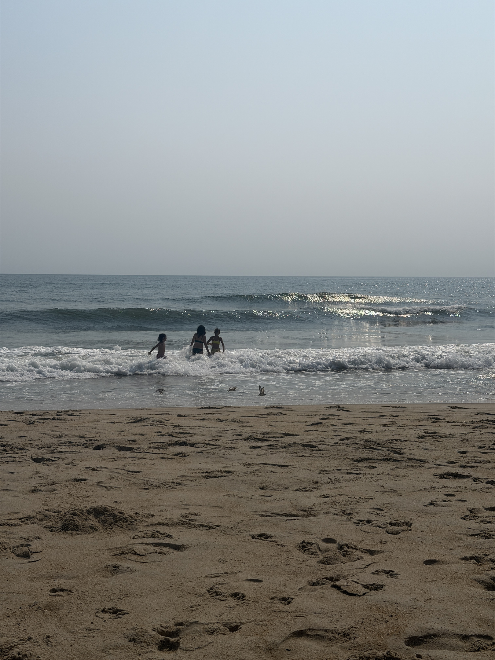 Everyone the water and waves!