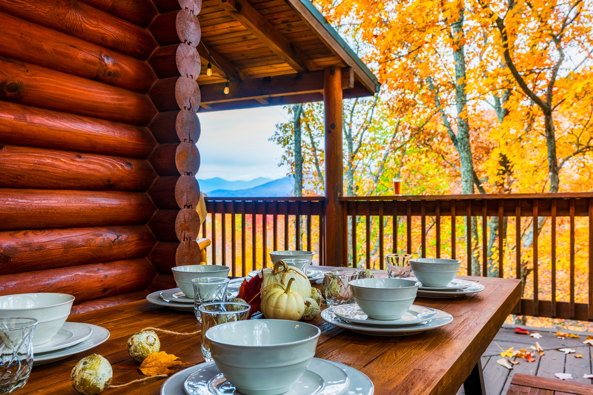 mountain and forest views from the outside dining table