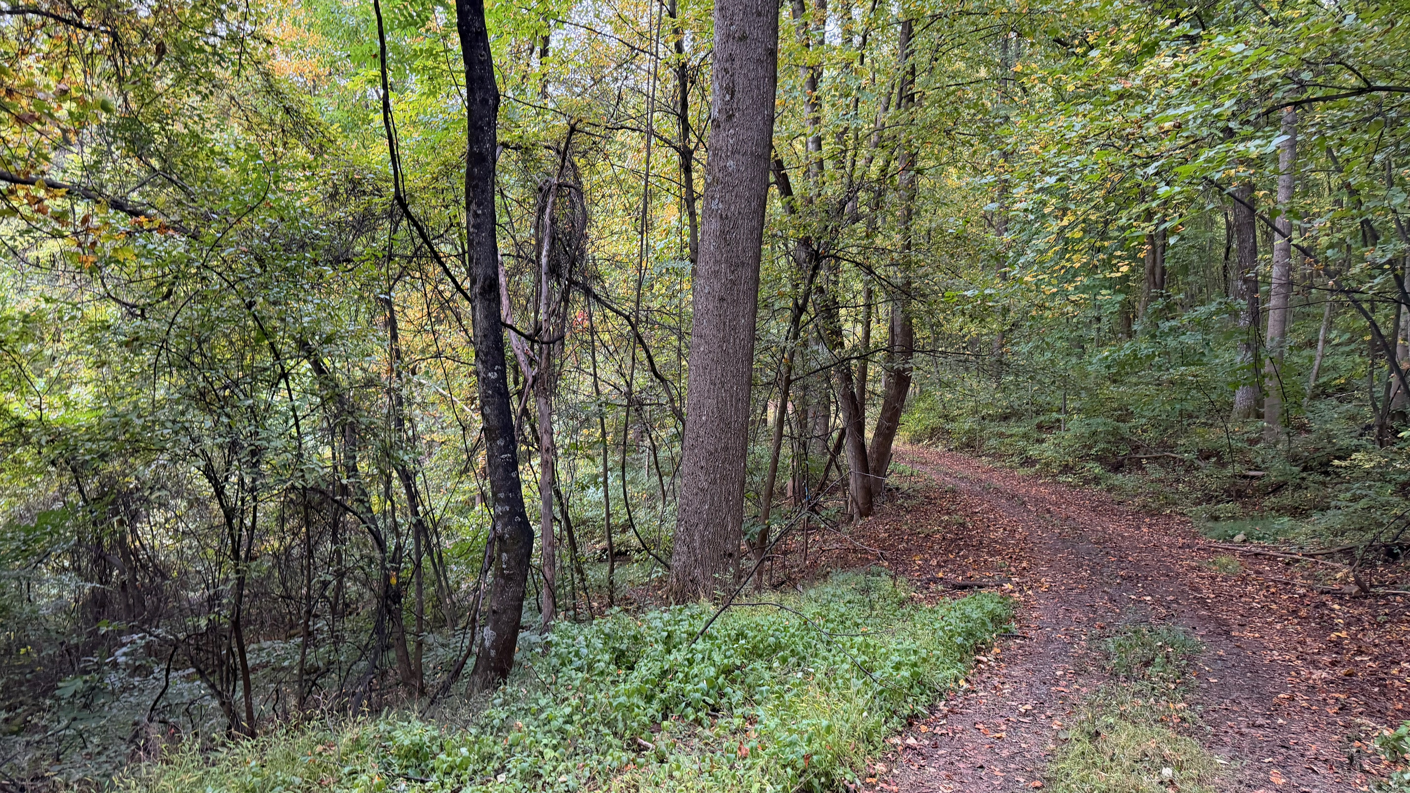 Numerous trails are on the 26 acre property, which you are free to use. We do have many wild animals to enjoy watching, but do take care and be safe. Read through the Guest Welcome Book about safety before you venture off.