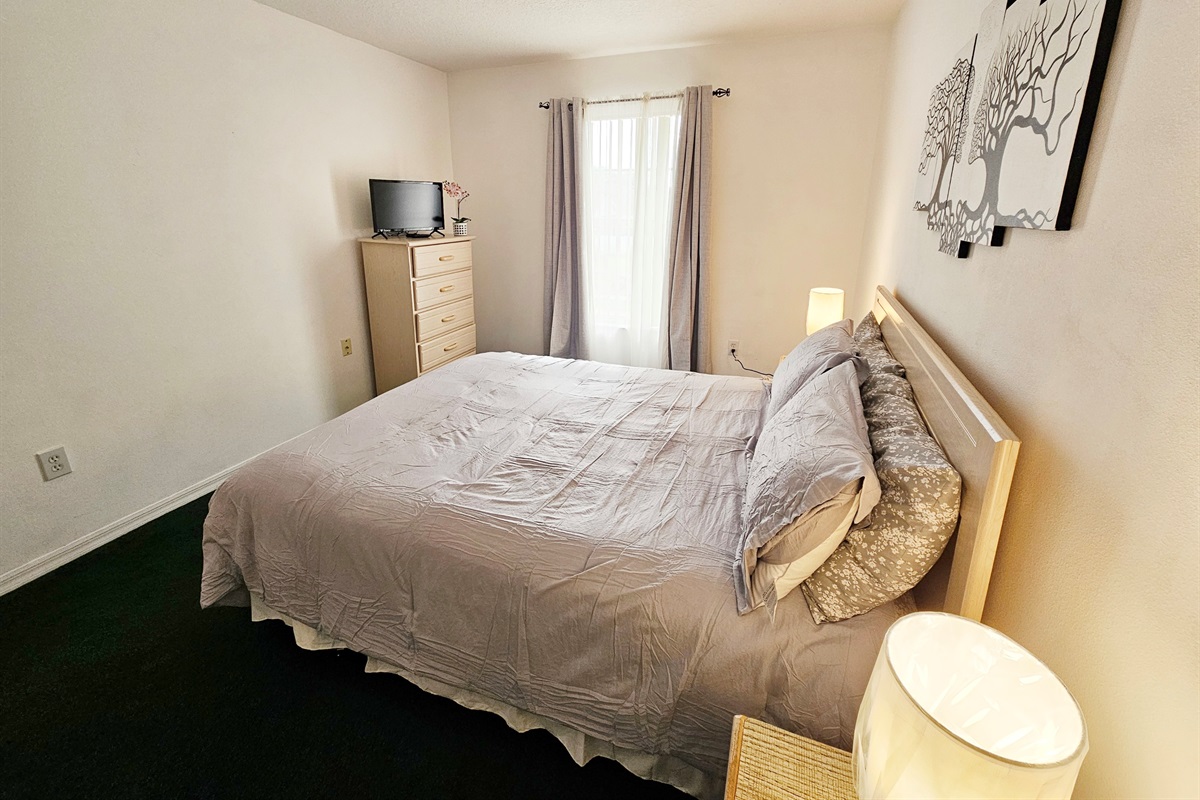 QUEEN Bedroom 2, ROKU TV