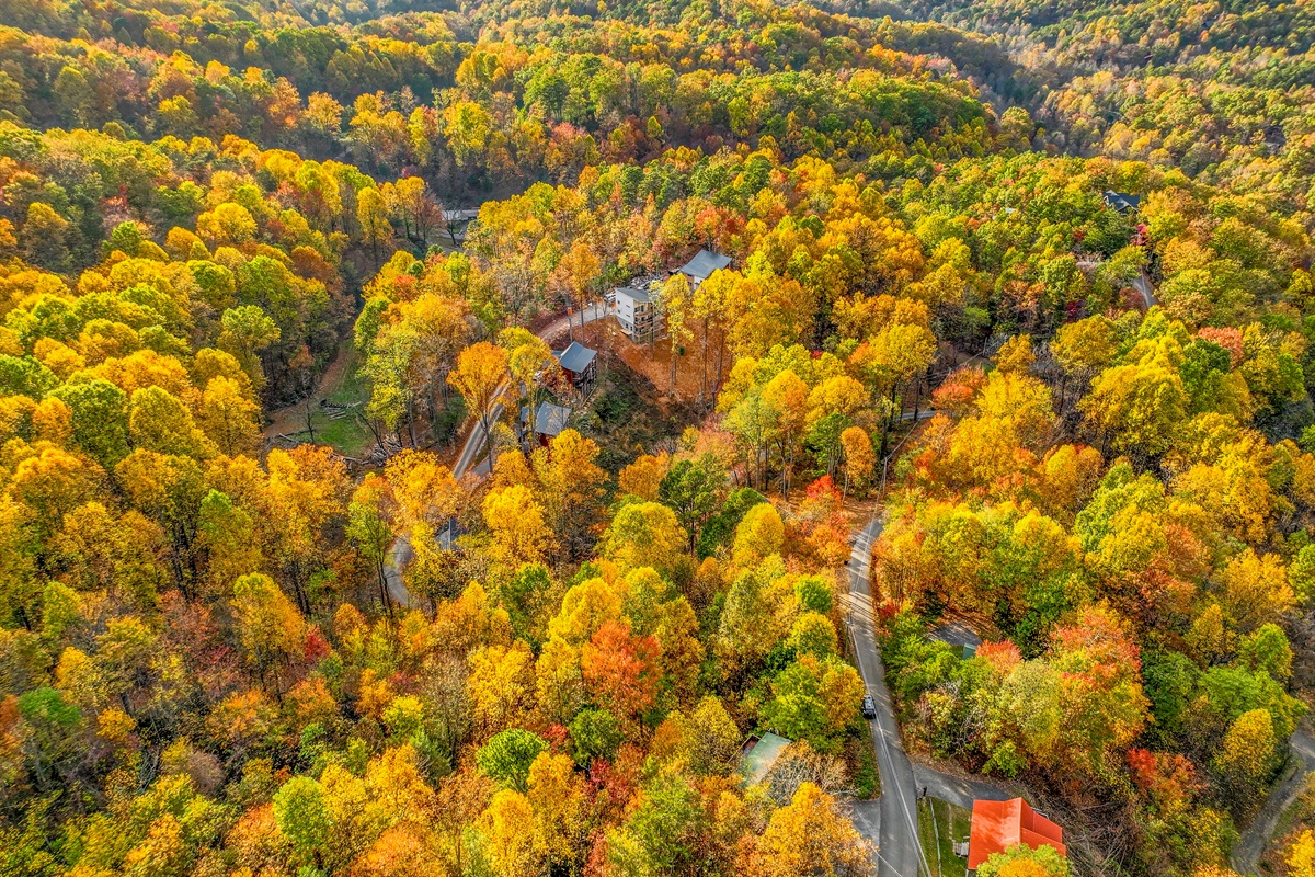 An aerial view of a serene autumn landscape, where vibrant hues of gold, orange, and red blanket the forest. Cozy cabins nestle among the trees, with majestic mountains rising in the distance.