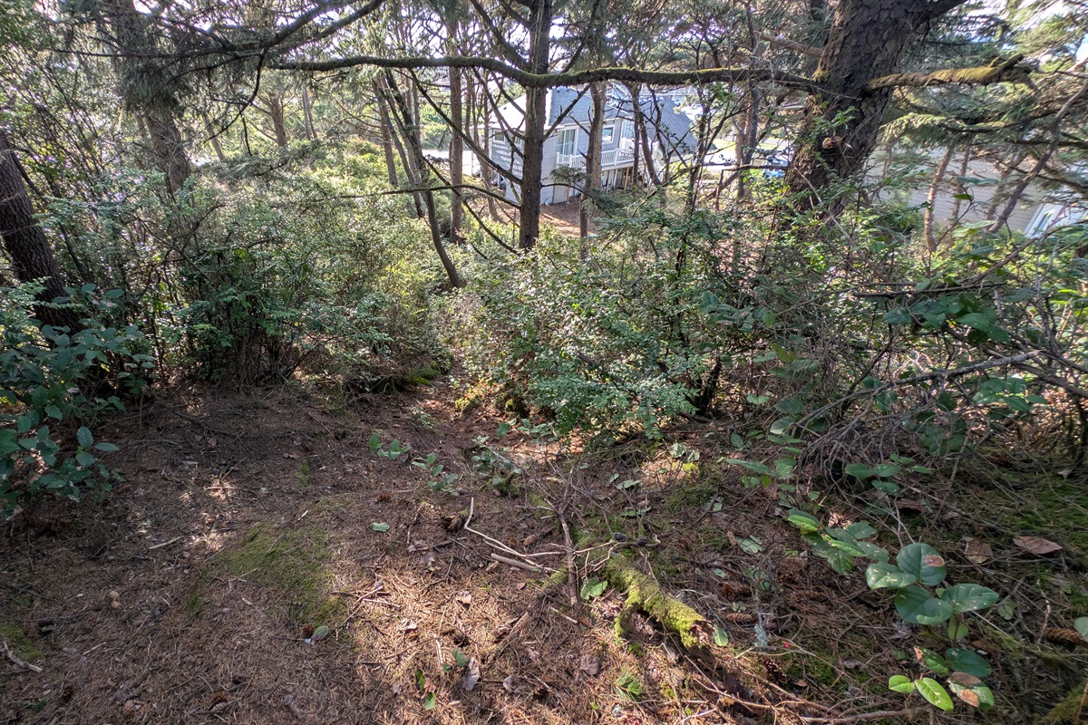 farther down the secret path