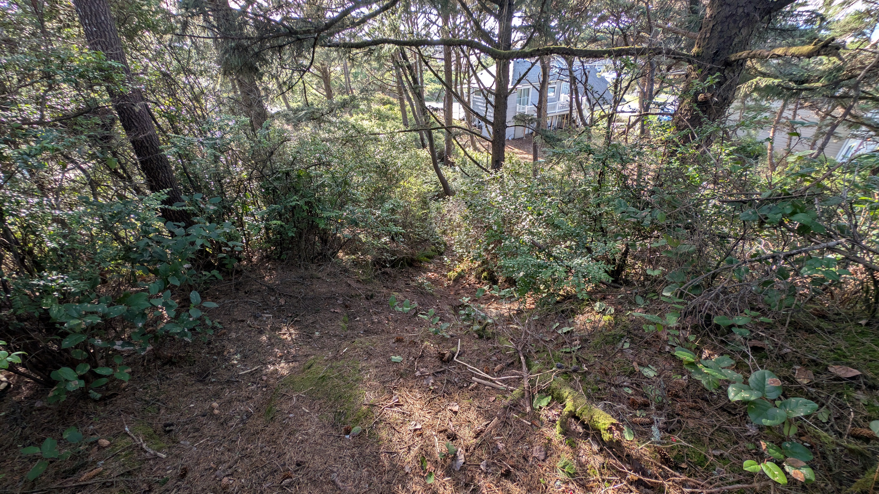 farther down the secret path