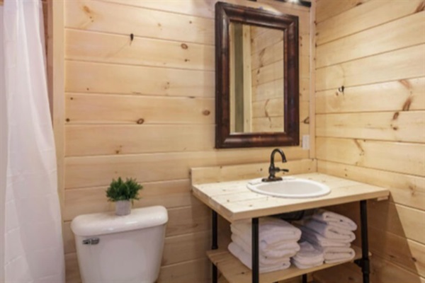 Lower Level bathroom