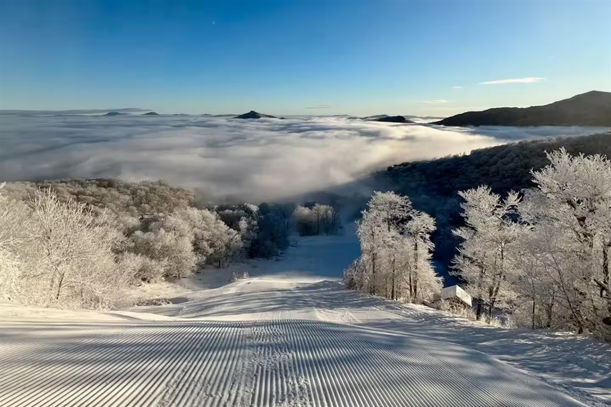 Snow is groomed and ready for you daily from late November to mid-March (or longer) at the 3 ski resorts nearby!