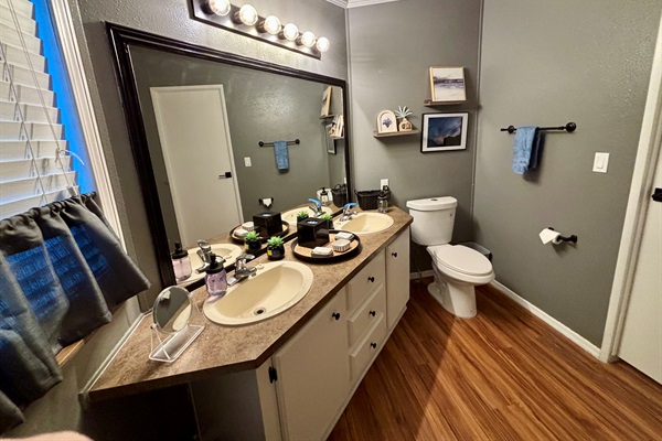 Master Bathroom Vanity