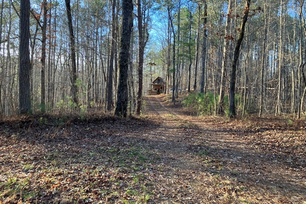 Road to the cabin.