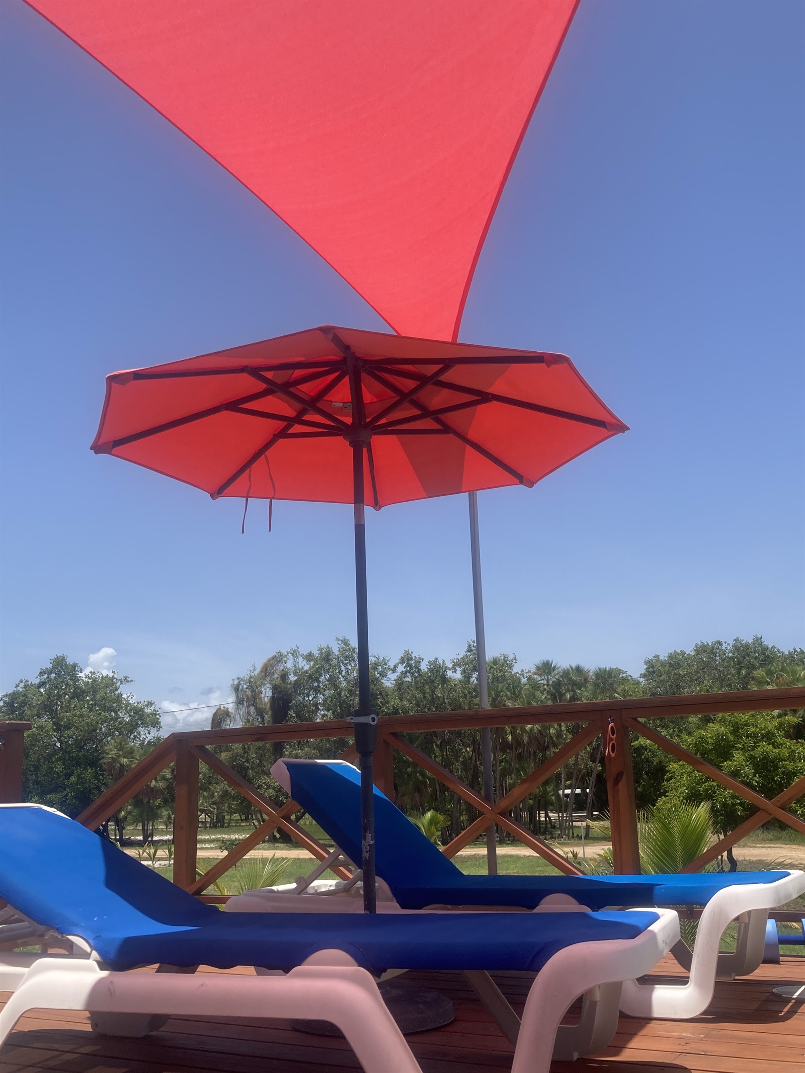 Snoozing in the shade