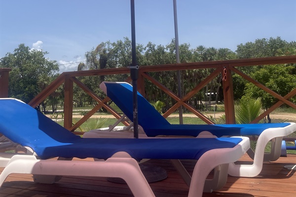Lounge chairs by the pool 