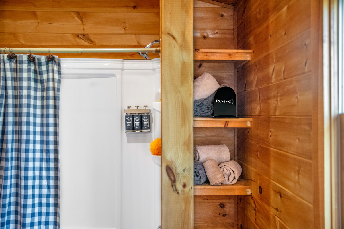 Shampoo. conditioner, body soap and plenty of towels are included for your comfort.