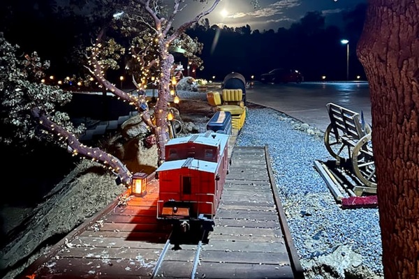 Train in the moon light