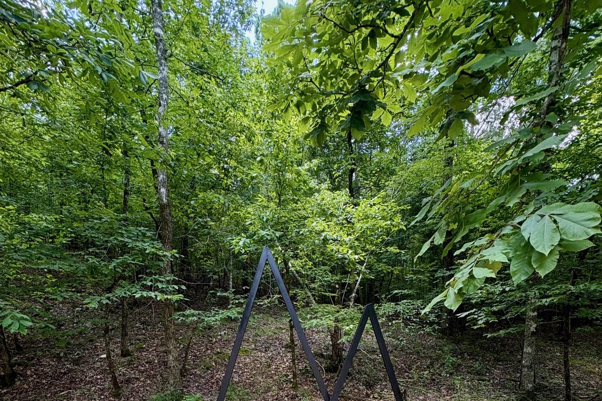 Backyard Creek