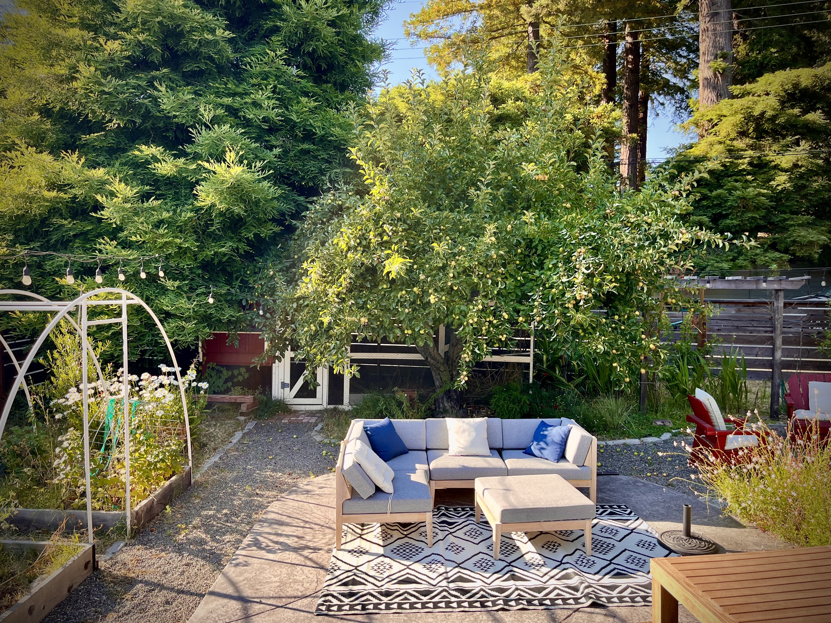 Large outdoor living room in sunny yard surrounded by trees.