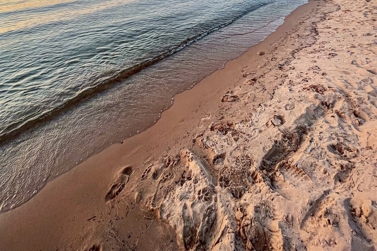 In downtown Cornucopia, Siskiwit bay and beach 25min away from Bayfield. Popular location for local Kayak excursions
