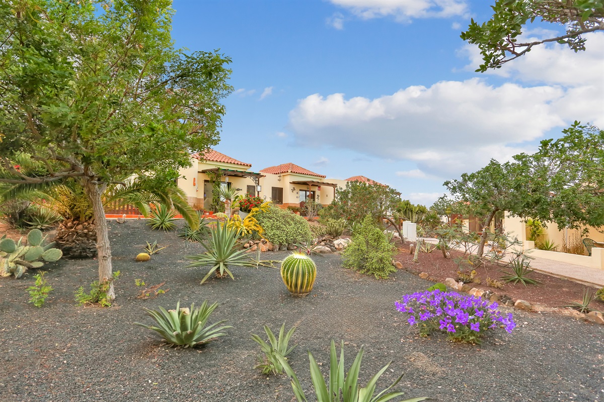 Communal gardens within the complex, featuring local vegetation and a peaceful setting.