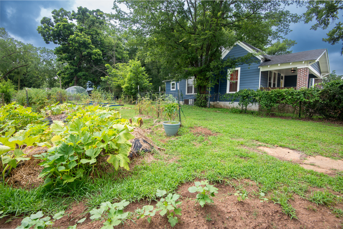 Take a stroll through the community garden and enjoy a slower pace. It's a peaceful place to stretch your legs and experience a unique part of the neighborhood.