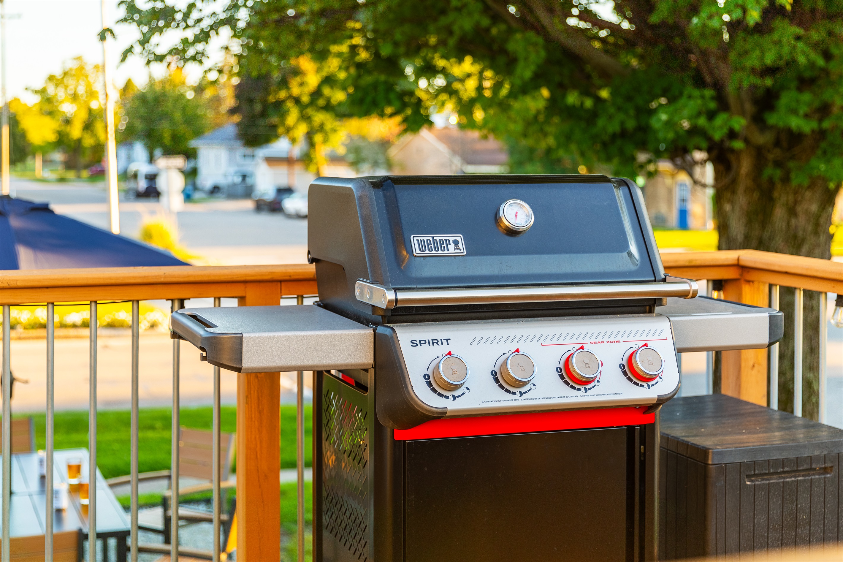 Propane Gas Grill