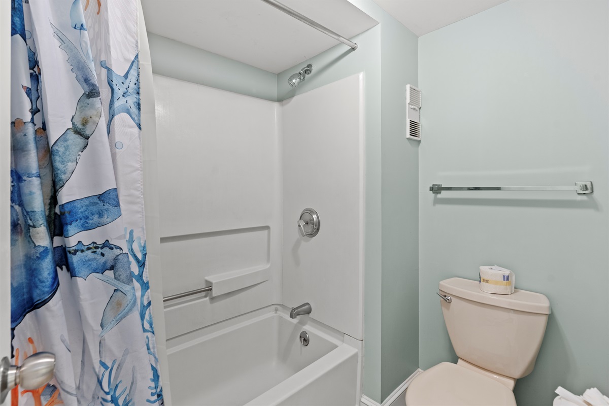 Tub/Shower Combo in Main Bathroom